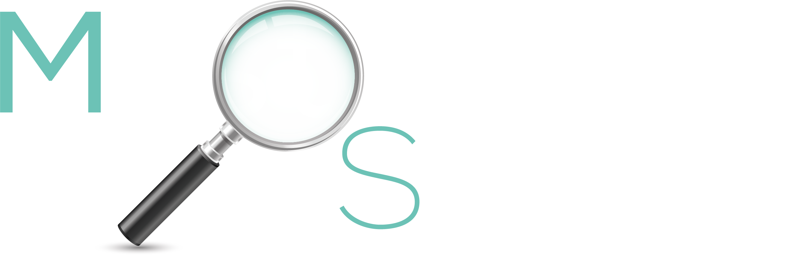 MasterSearch Logo